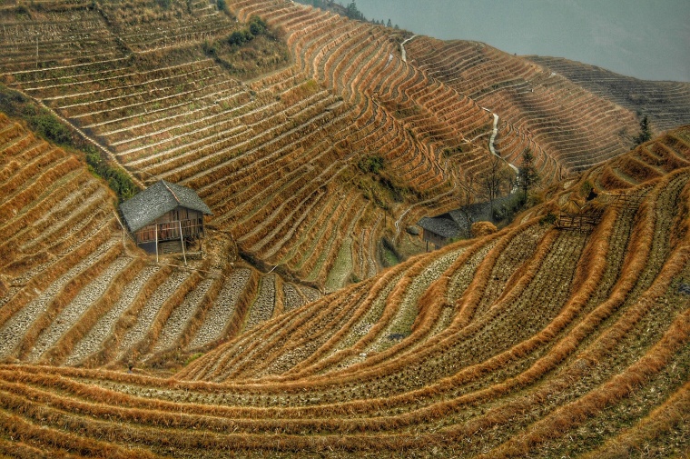 农场 田地 田 地 农庄 耕地 梯田 风景 背景图 高清背景 背景 