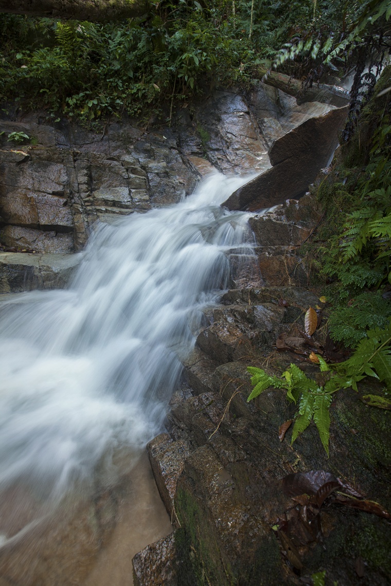 瀑布 山涧 水流 树林 自然 岩石 风景 美景 背景图 高清背景 背景 