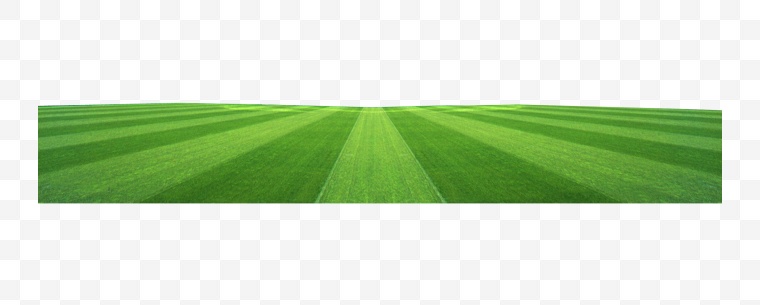 足球场草地 草地 绿地 草坪 世界杯 