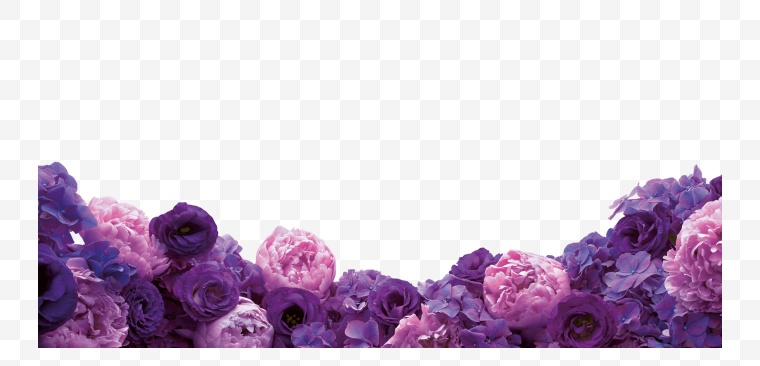 粉色的花 紫色的花 花 花朵 