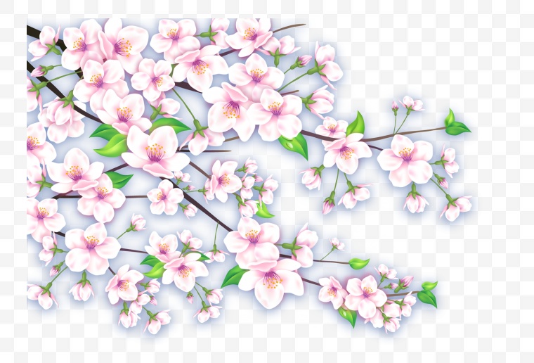 春天的桃花 桃花 春天 春季 春 花 