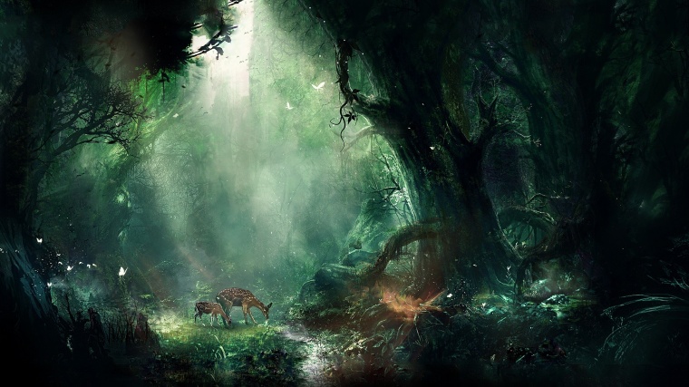 森林 神秘森林 丛林 唯美背景 游戏背景 背景 背景图 