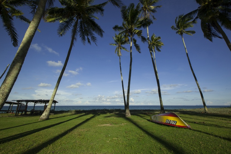 海边 椰树 自然风光 风景 天空 海景 