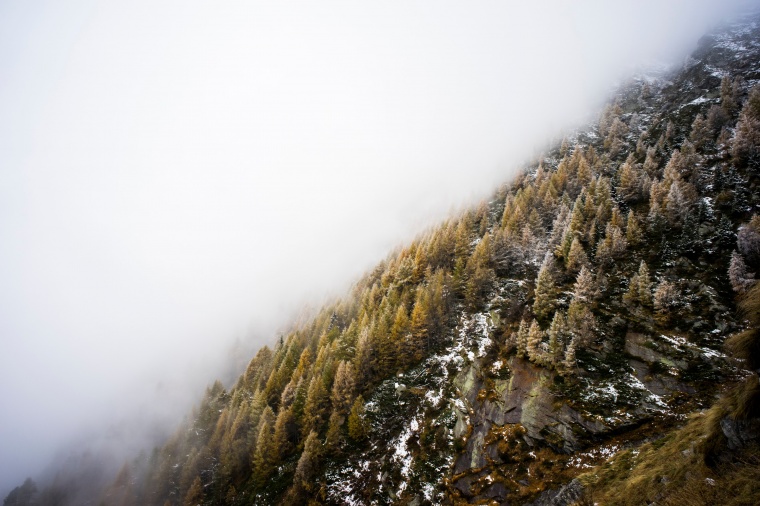 山峰 山 山脉 树林 山坡 云雾 自然 风景 