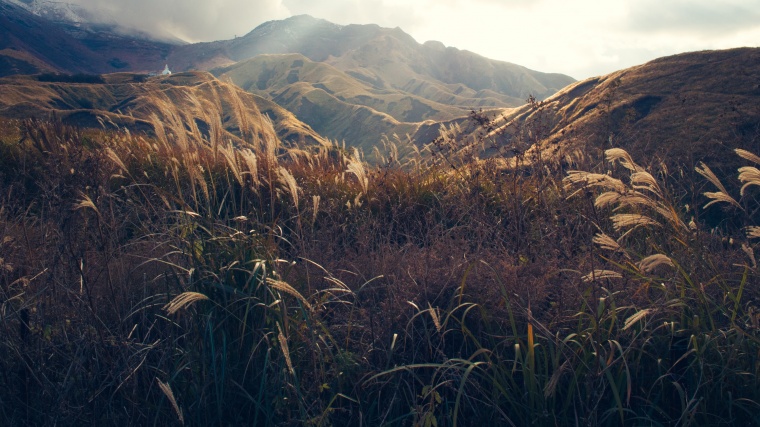 山峰 山 山脉 草地 芦苇 阳光 自然 风景 