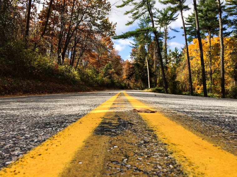 树林 树 秋天 路 马路 自然 风景 