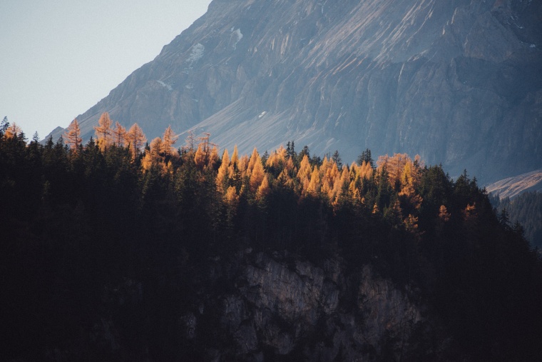 树林 树 森林 山 秋天 自然 风景 