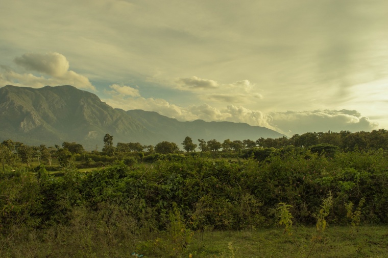 山峰 山 山脉 树 山坡 天空 自然 风景 