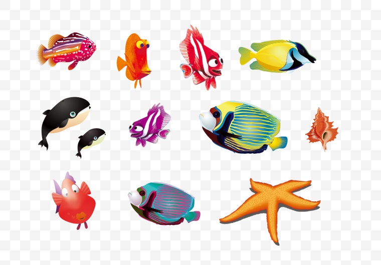 鱼 鱼类 海螺 海星 海底总动员 海洋生物 
