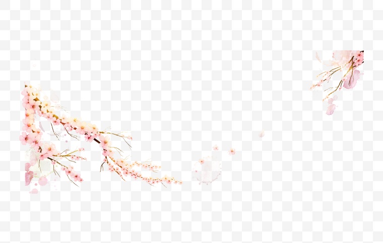 花朵 藤蔓 手绘花 手绘 花 桃花 粉色的花 