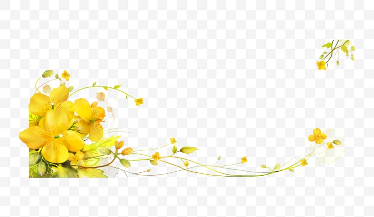 花朵 藤蔓 手绘花 手绘 花 黄色的花 黄花 