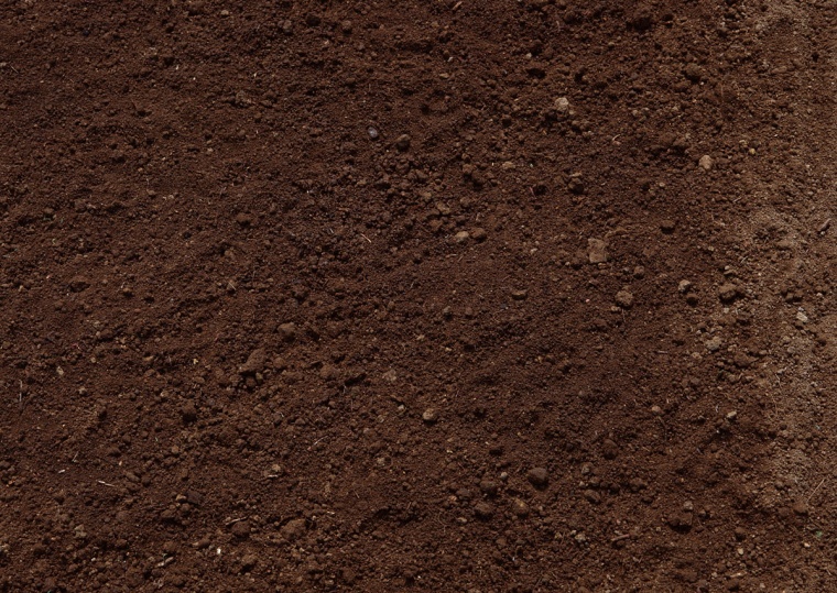 土壤 土壤表面 土壤剖面 土壤截面 土壤贴图 土 