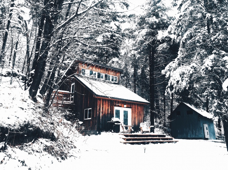 树林 树 冬天 雪景 木屋 自然 风景 