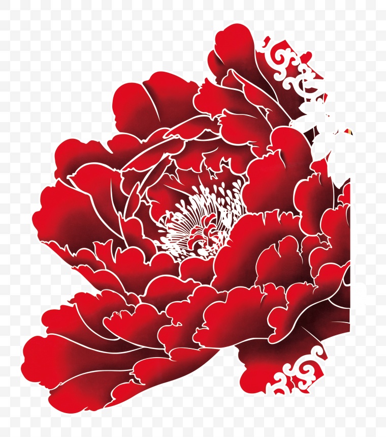 牡丹花 中国风 牡丹 花 花朵 花开富贵 国花 画 中国元素 