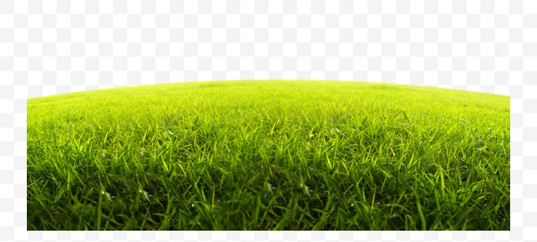 草地 绿茶 草 自然 草坪 绿地 绿色 春天 设计元素 常用素材 