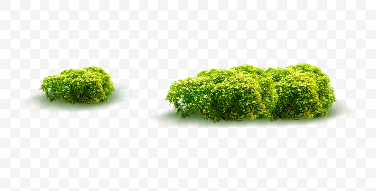 草地 绿茶 草 自然 草坪 绿地 春天 设计元素 常用素材 
