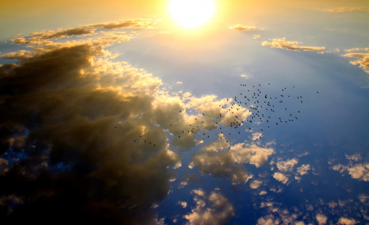 天空 天 白云 太阳 阳光 光线 鸟 鸟群 迁徙 自然 风景 