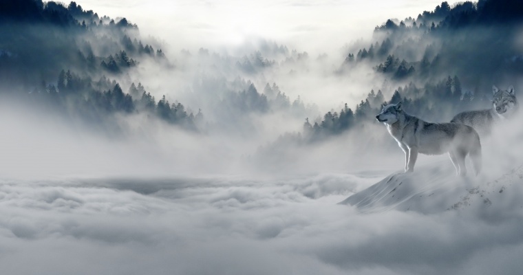 山峰 山 山脉 山川 云雾 狼 天空 自然 风景 