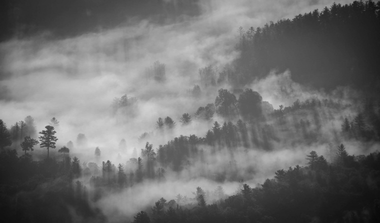 山峰 山 山脉 山川 树 树林 云雾 天空 自然 风景 