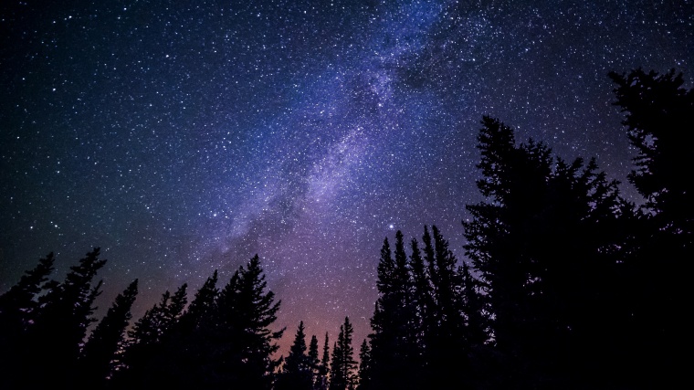 星空 星星 夜空 黑夜 树林 树 自然 景色 夜景 