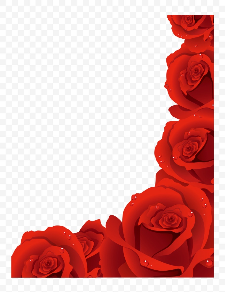 玫瑰花 玫瑰 红玫瑰 花朵 花边 浪漫 唯美 爱情 自然 