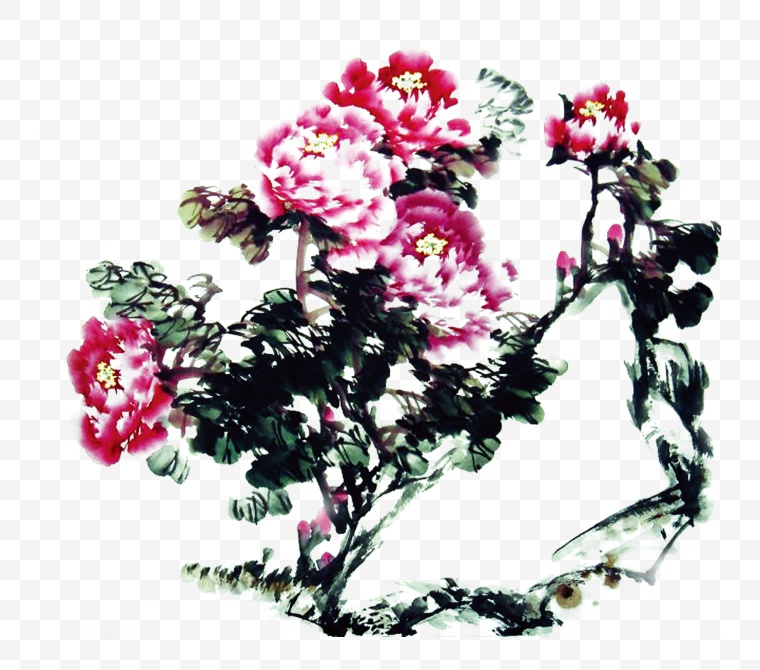 花 花朵 水墨 水墨画 水墨花朵 中国风 