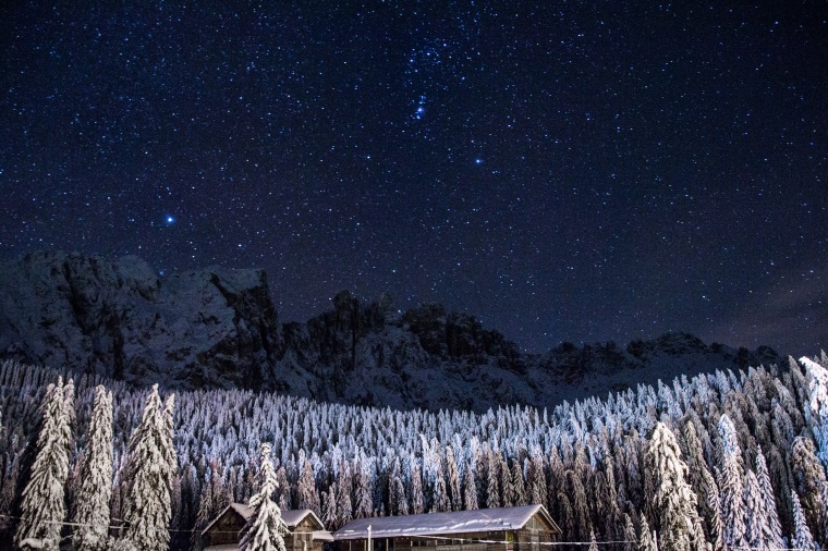 树林 树 冬天 雪景 夜空 星空 自然 风景 