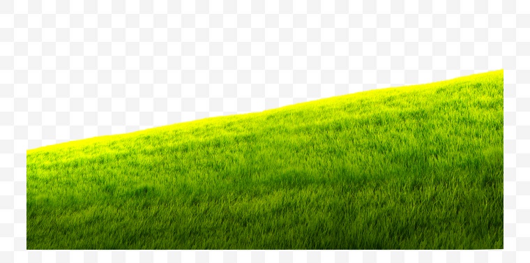 草地 绿地 草坪 自然 绿色草地 