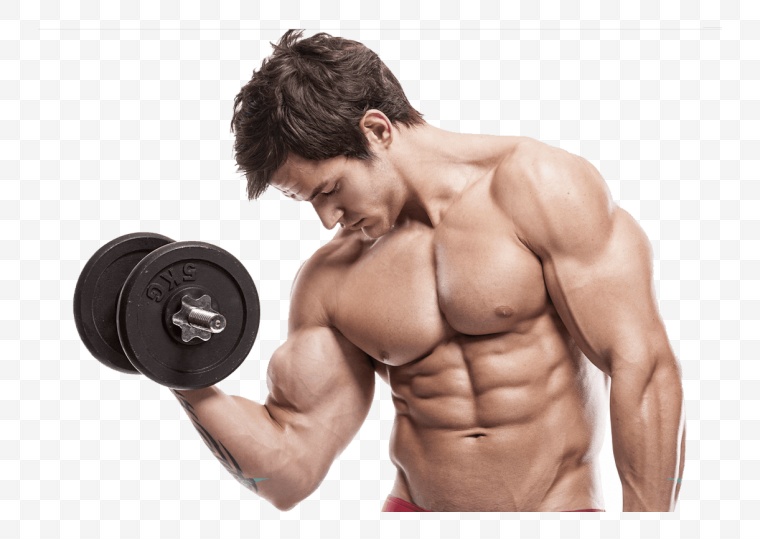 哑铃 健身器材 健身 健身用品 肌肉 健美 锻炼 体育 