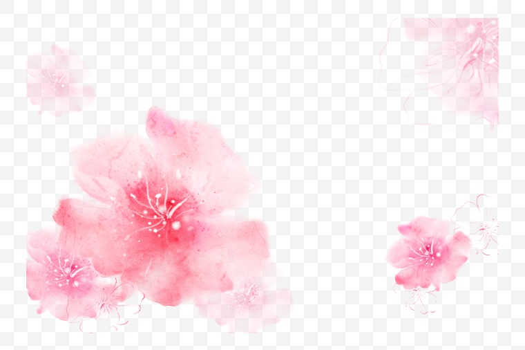 花朵 花 粉色花朵 樱花 手绘 唯美 