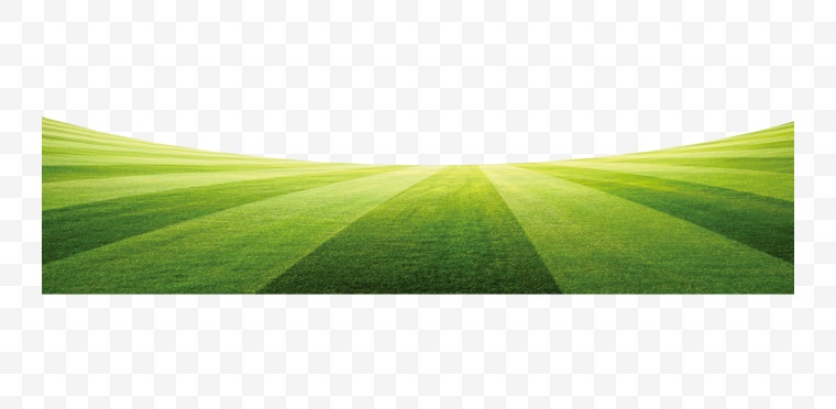 草地 绿草 草坪 球场 足球场 体育 世界杯 