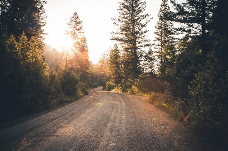 树林 树 森林 道路 路 山路 自然 风景 