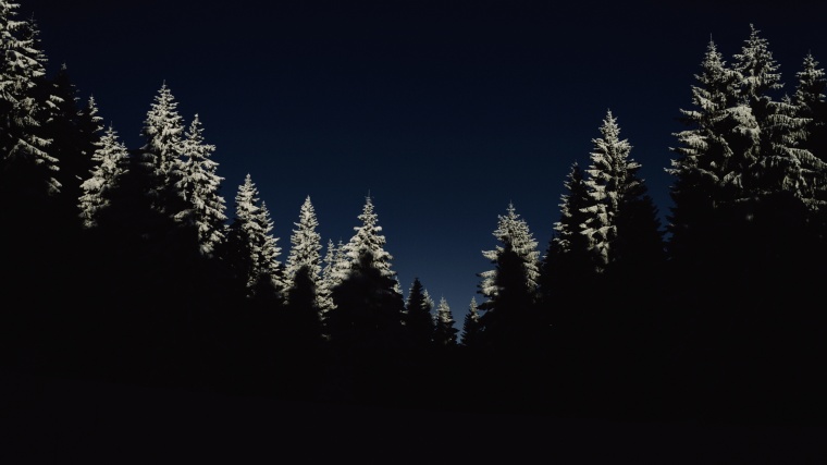 树林 树 森林 山 黑夜 雪 冬天 自然 风景 