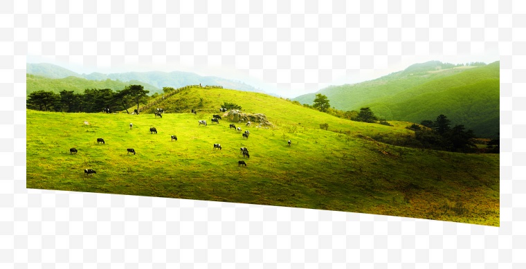 山峰 山 山坡 自然 风景 草地 牛羊 