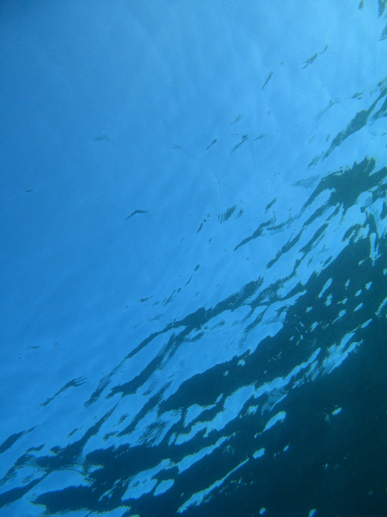 海洋 大海 海 海面 海水 