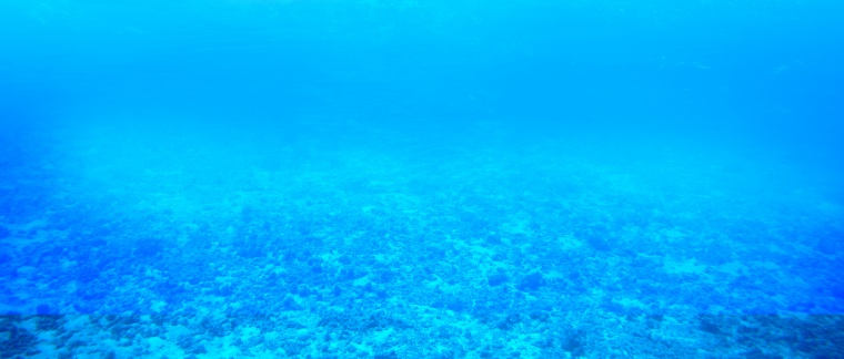 海底背景图 海底 海水 蓝色背景 蓝色 海底景观 