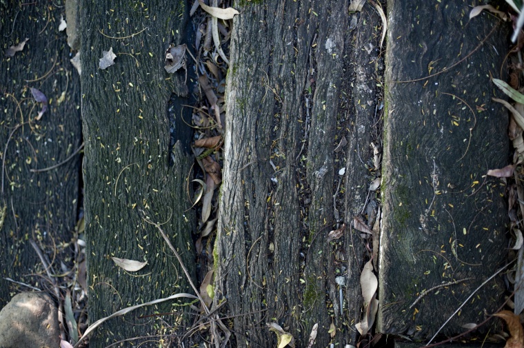 木纹 木板 木板木纹 木头 