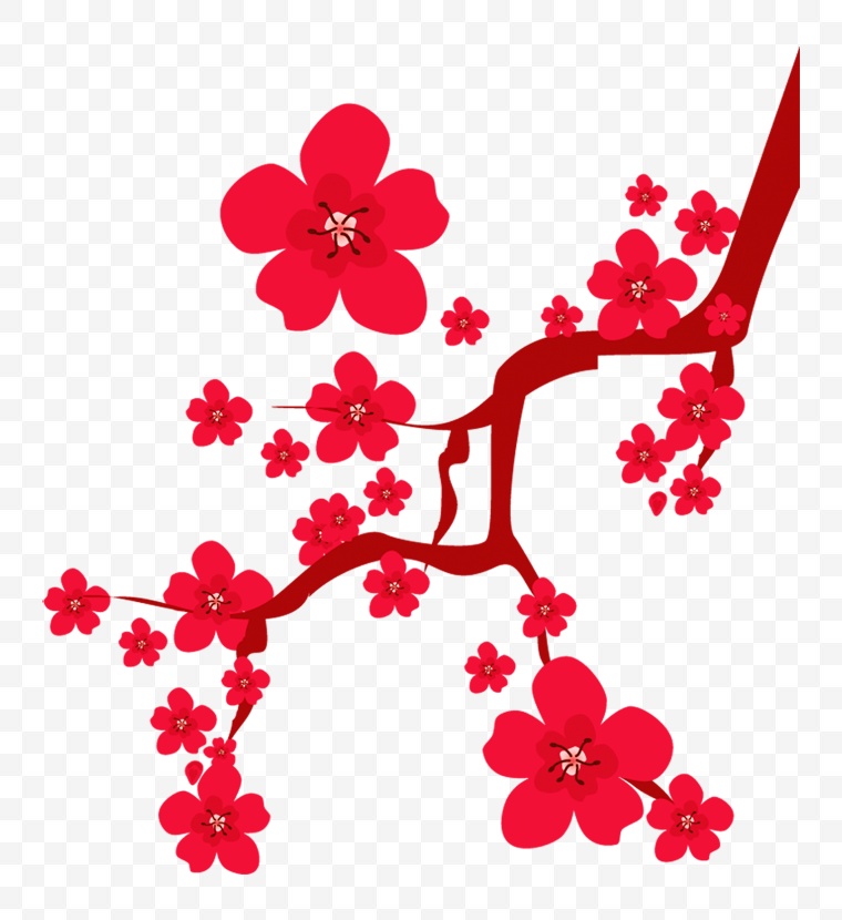 梅花 花 鲜花 红梅 植物 自然 中国风 