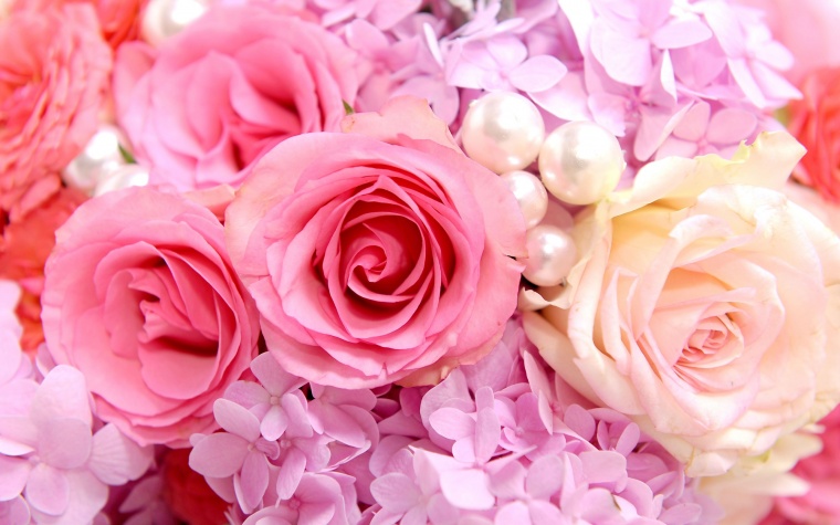 花 鲜花 粉花 粉色 玫瑰花 花朵 花瓣 唯美 浪漫 