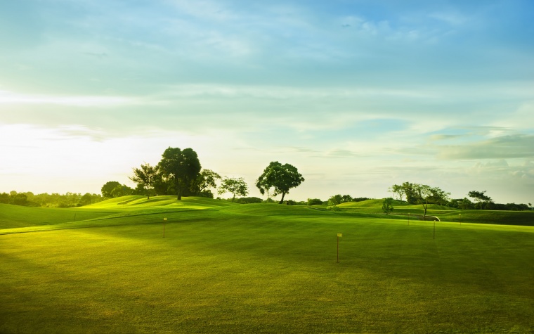 草地 草 绿地 绿色 高尔夫 高尔夫球场 草坪 自然 树 