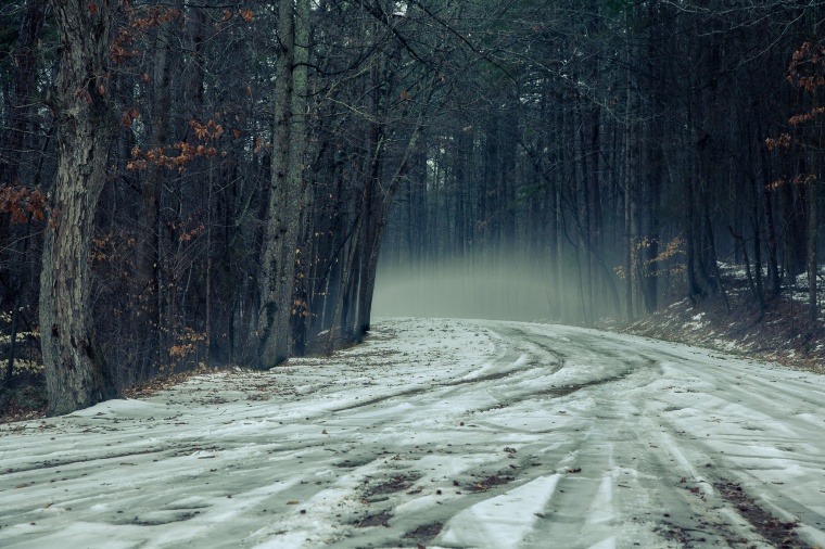 冬天 冬季 树 树林 雪景 道路 下雪 雪 风景 