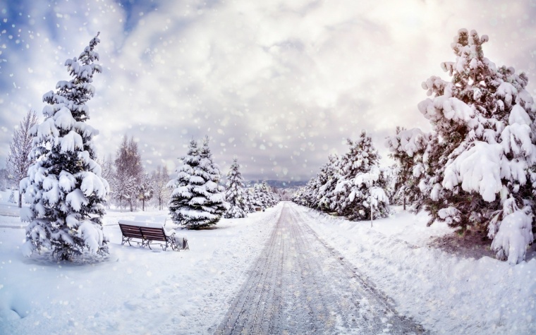冬天 冬季 树 树林 雪景 下雪 雪 唯美 道路 风景 