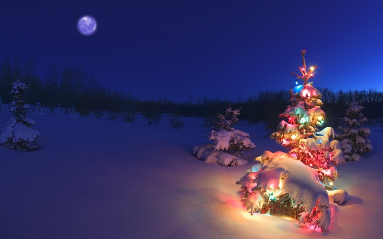 冬天夜景 夜景 冬天 冬季 圣诞背景 圣诞节 圣诞 