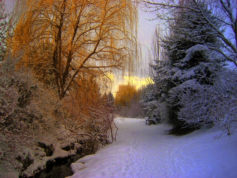 雪景 雪地 雪 树木 冬天 冬季 积雪 唯美 黄昏 暮光 