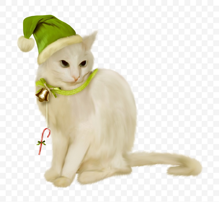 动物 可爱动物 可爱 猫 小猫 宠物猫 卡通小猫 圣诞节 节日 圣诞帽 