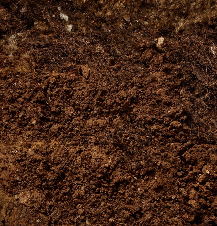 土壤 土壤剖面 土壤分层 土壤分层结构土壤表面 