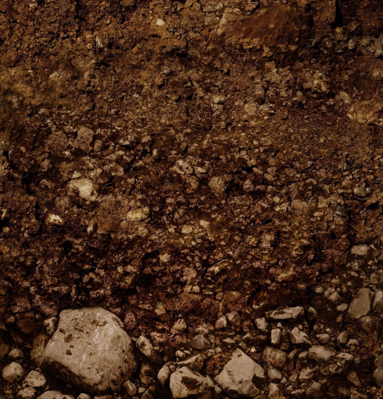 土壤 土壤剖面 土壤分层 土壤分层结构土壤表面 