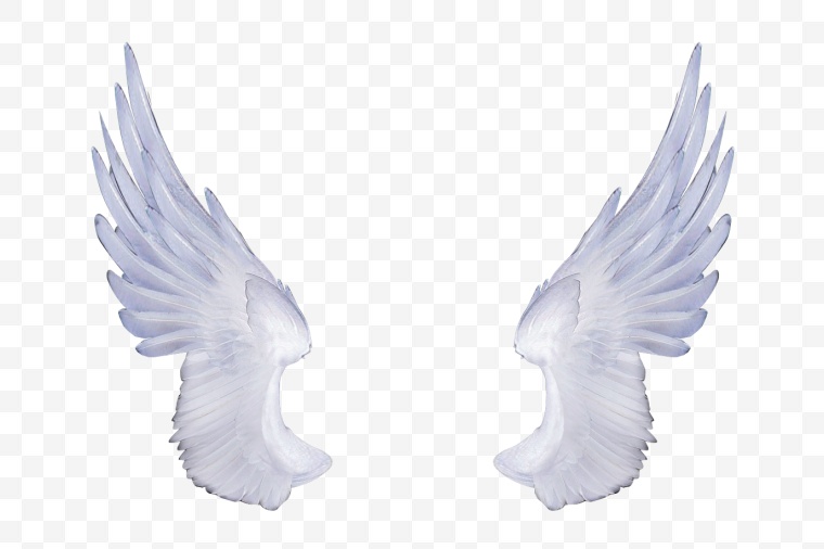 翅膀 大翅膀 天使 白色翅膀 纯洁 羽毛 