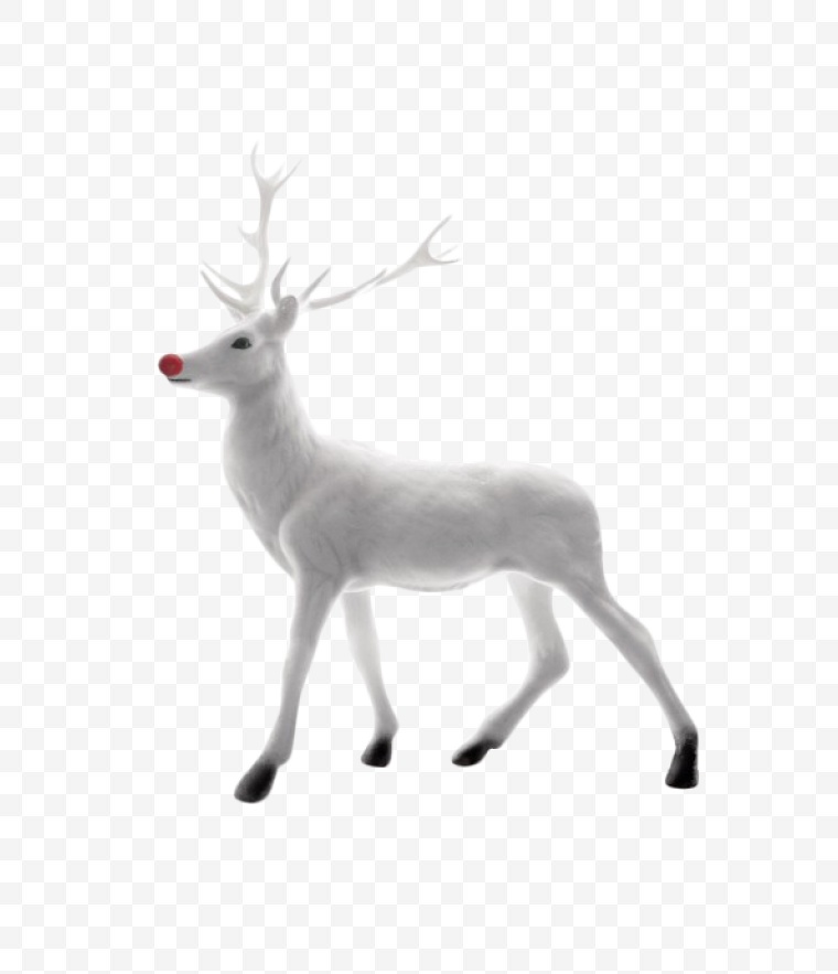 圣诞 圣诞节 圣诞麋鹿 麋鹿 鹿 驯鹿 圣诞驯鹿 圣诞节麋鹿 圣诞节驯鹿 