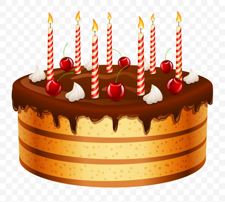 生日蛋糕 生日 蛋糕 过生 过生日 庆祝 蜡烛 巧克力蛋糕 